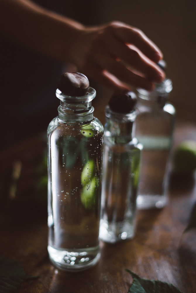 DIY chestnut plant by Babes in Boyland