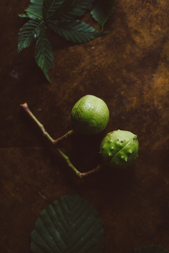 DIY chestnut plant by Babes in Boyland