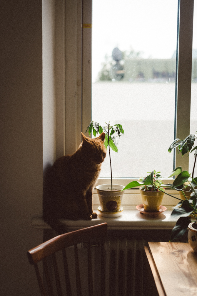 Hemma hos Lauren och Tobias 4 Home visit at Lauren and Tobias