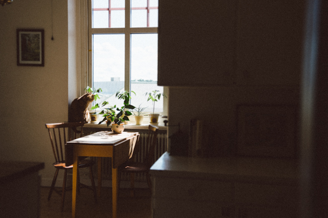 Hemma hos Lauren och Tobias 3 Home visit at Lauren and Tobias