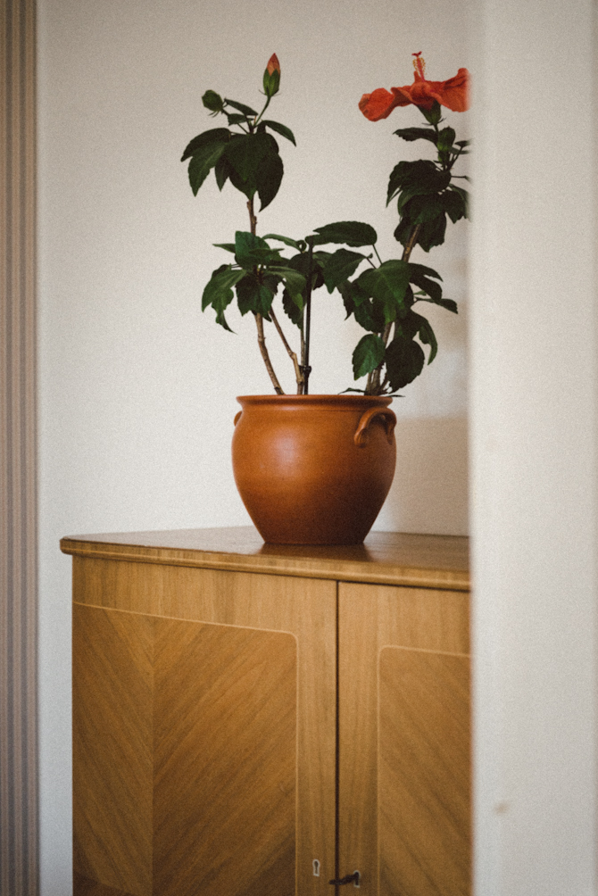 Hemma hos Lauren och Tobias 16 Home visit at Lauren and Tobias