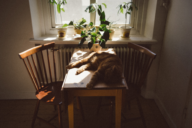 Hemma hos Lauren och Tobias 10 Home visit at Lauren and Tobias