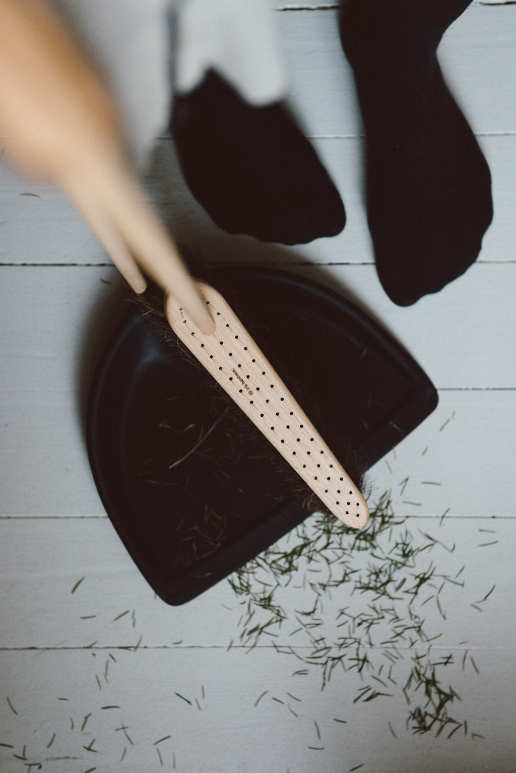 Interior by Babes in Boyland
