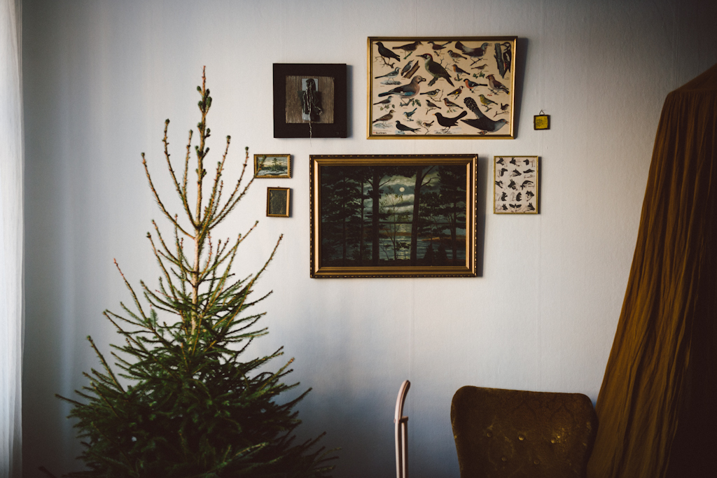 Interior by Babes in Boyland