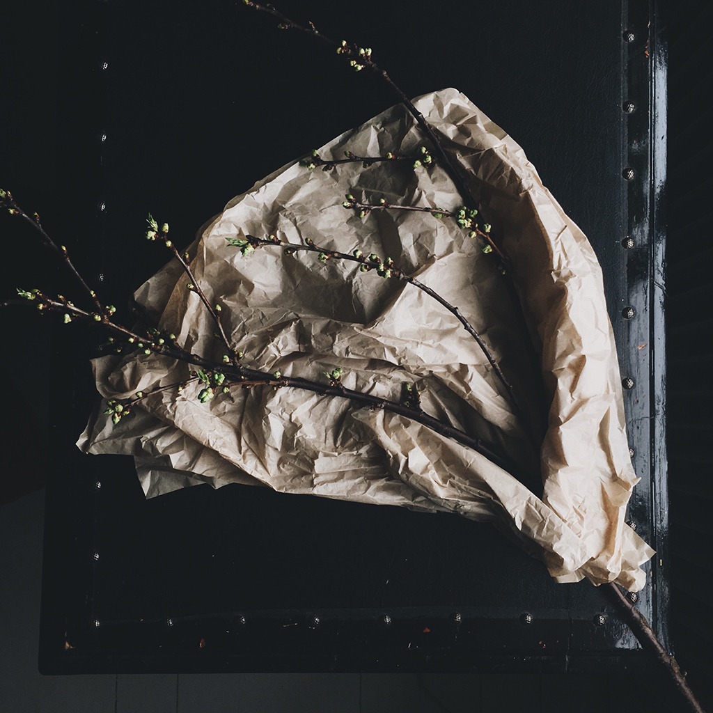 by Babes in Boyland