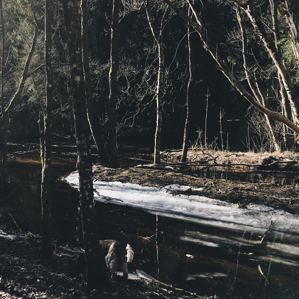 by Babes in Boyland