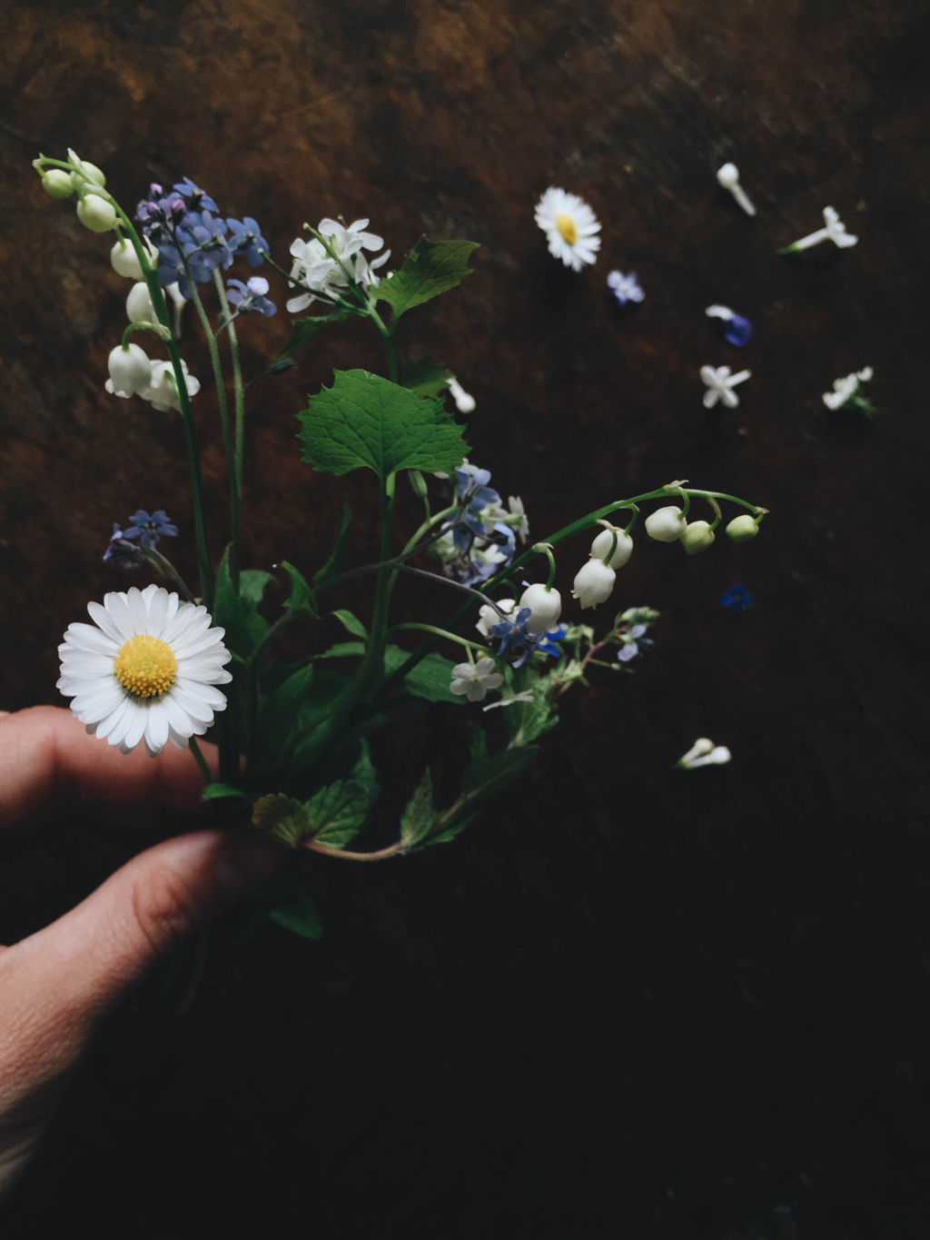 May flowers by Babes in Boyland