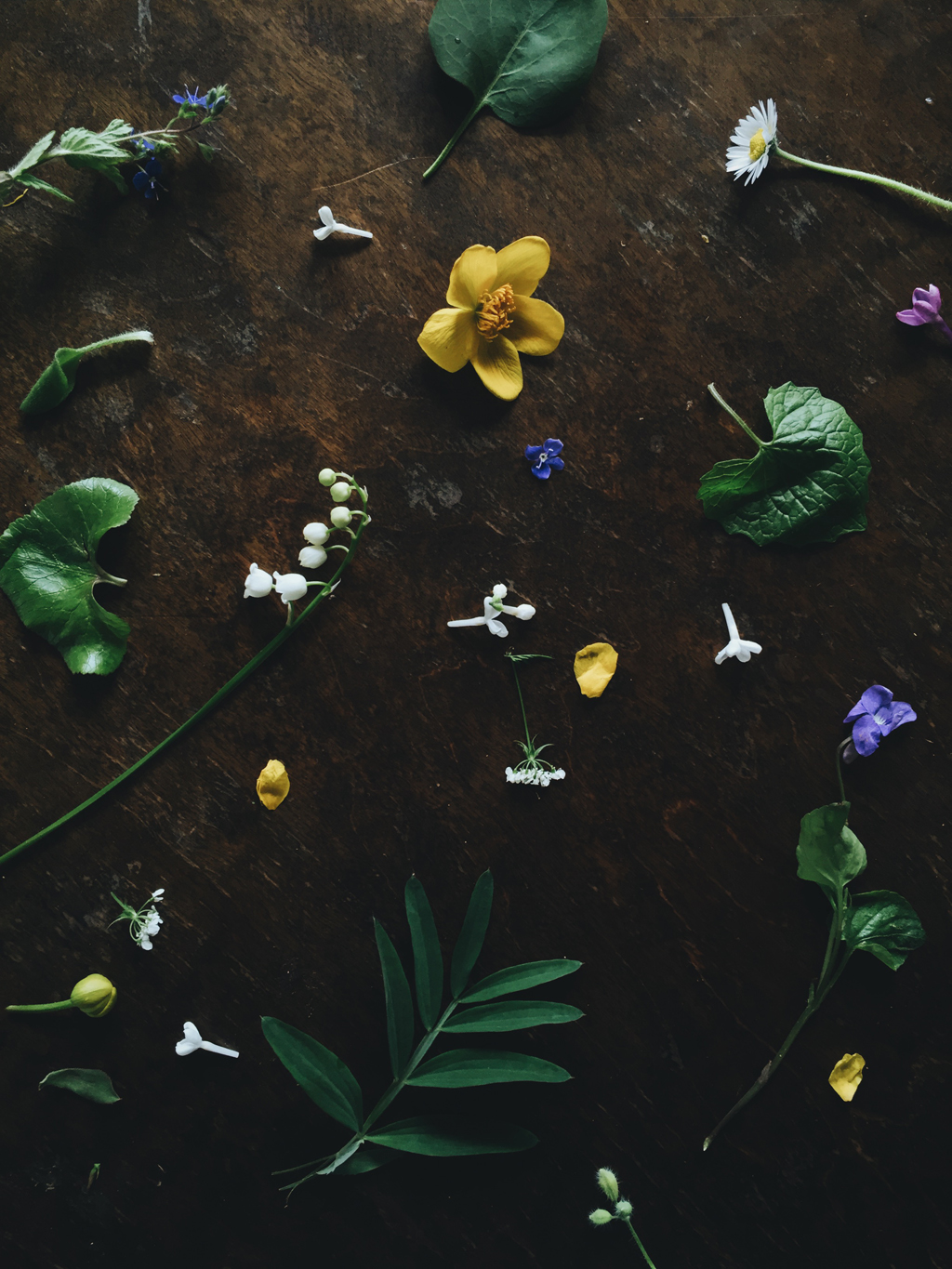 May flowers by Babes in Boyland