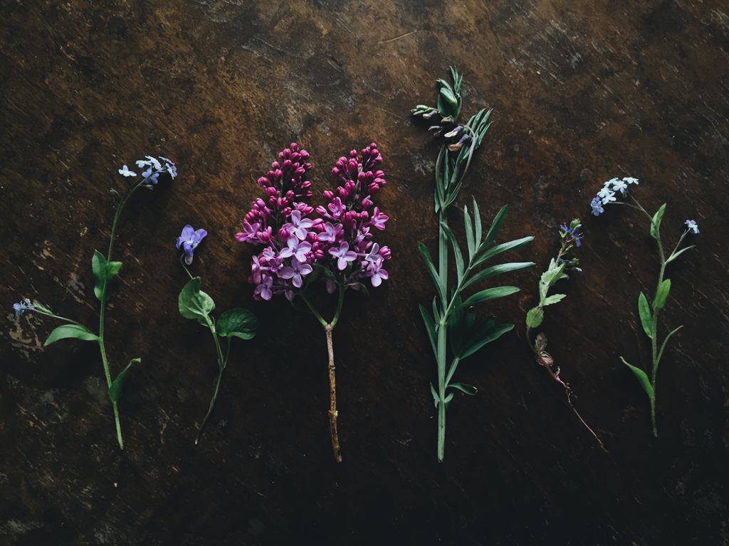 May flowers by Babes in Boyland