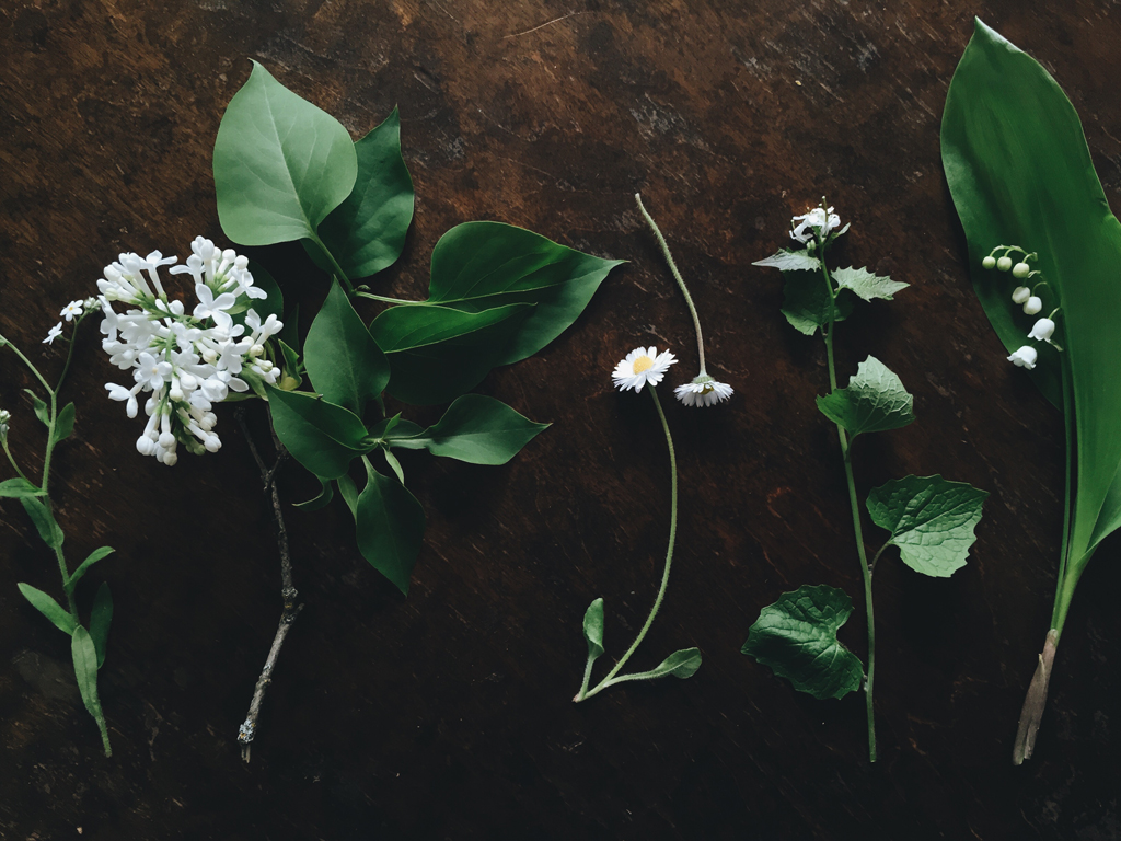 May flowers by Babes in Boyland