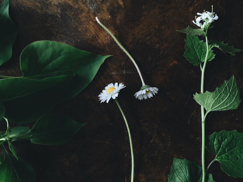 May flowers by Babes in Boyland