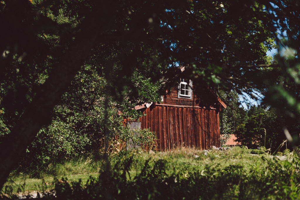 Novellix by Babes in Boyland