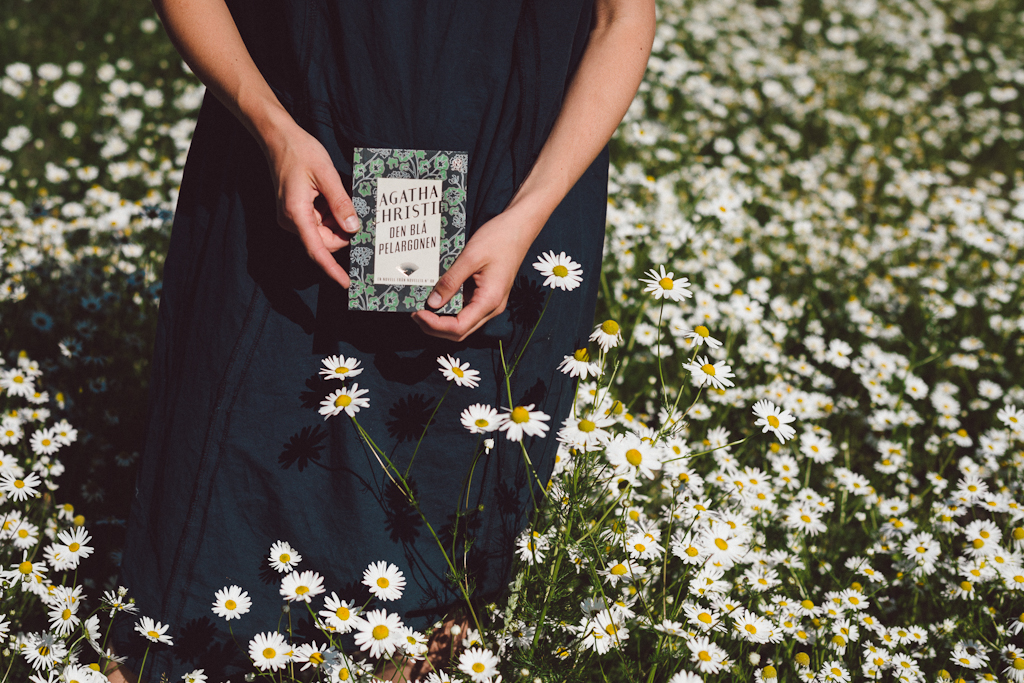 Novellix by Babes in Boyland