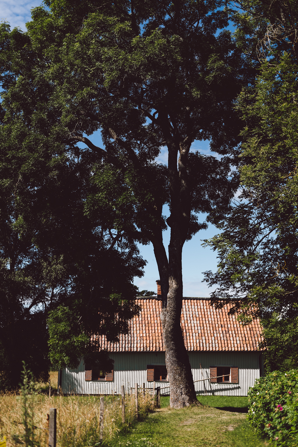 Studio in mind by Babs in Boyland