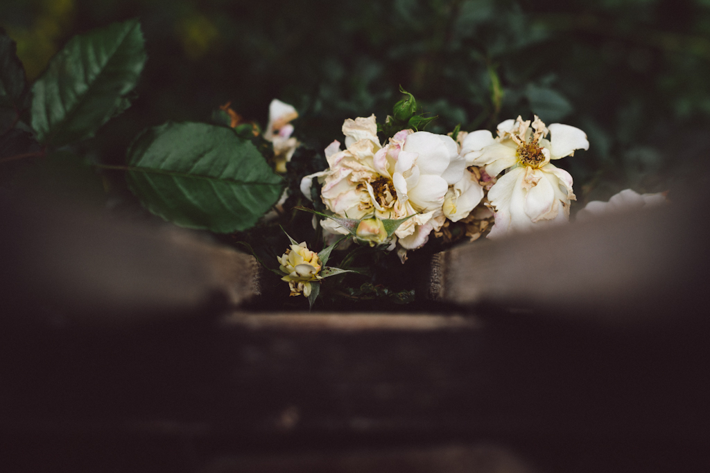 Studio in mind by Babs in Boyland