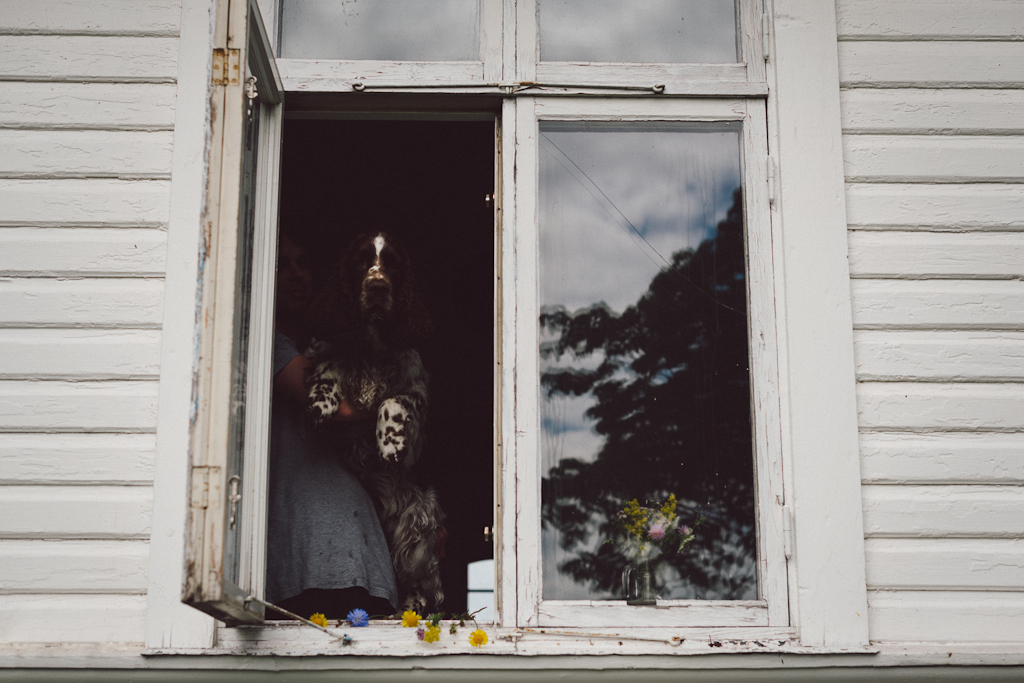 Öland flowers by Babes in Boyland