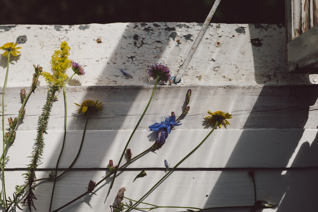 Öland flowers by Babes in Boyland