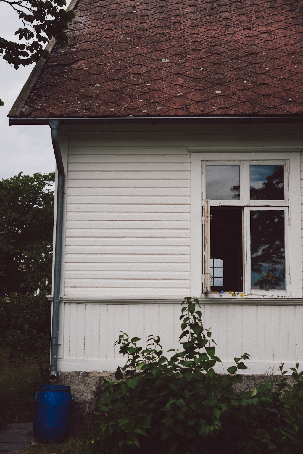 Öland flowers by Babes in Boyland