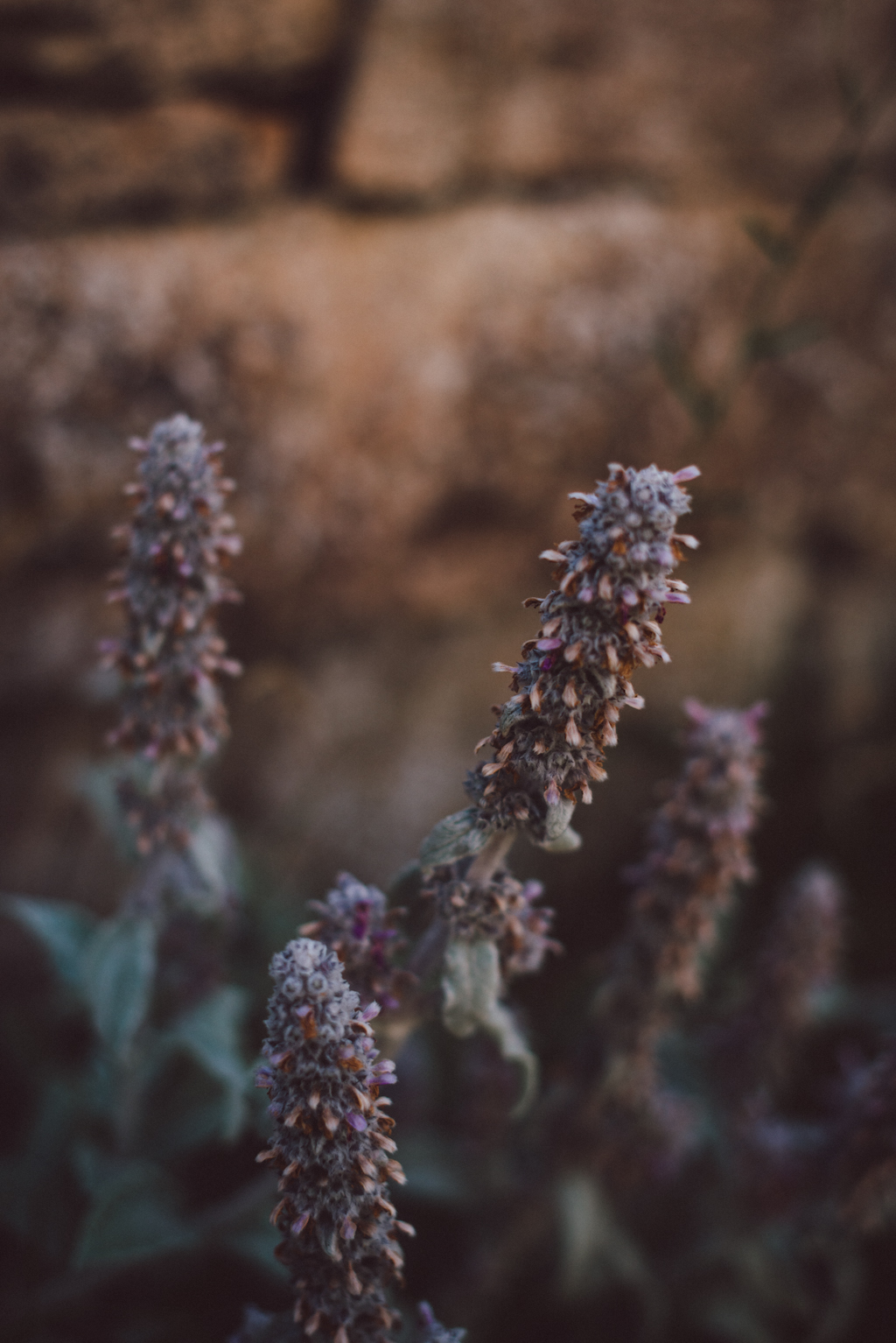 Öland, Sweden by Babes in Boyland