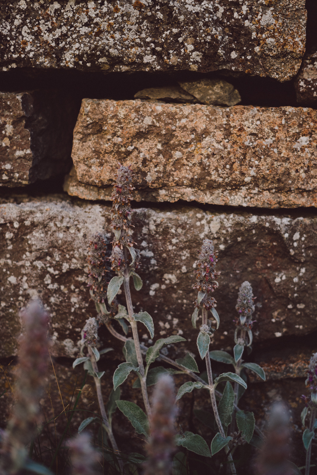 Babes_in_Boyland-oland_sweden-5