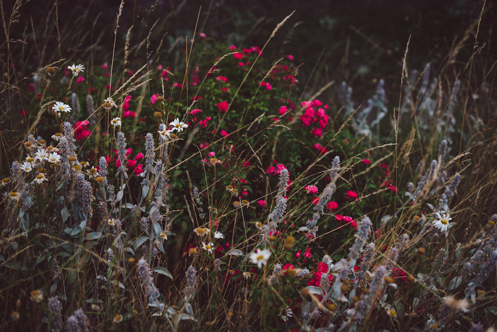 Babes_in_Boyland-oland_sweden-7