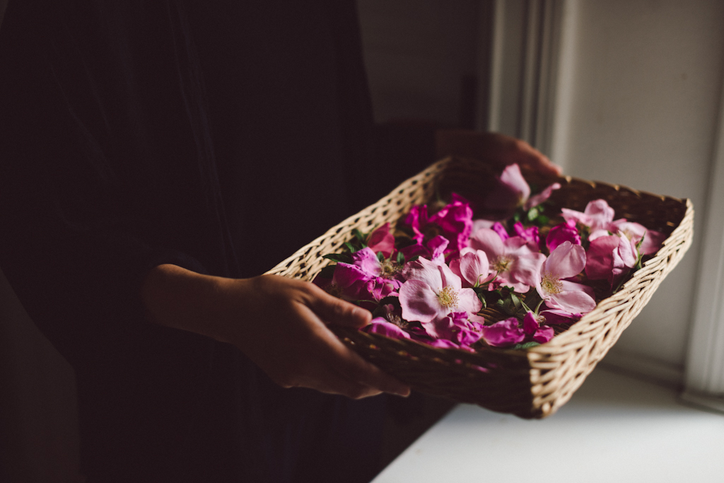 Dog rose lemonade by Babes in Boyland