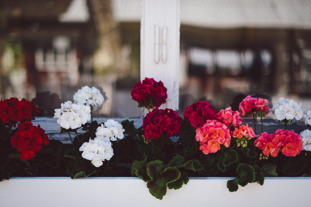 Sätra Brunn by Babes in Boyland