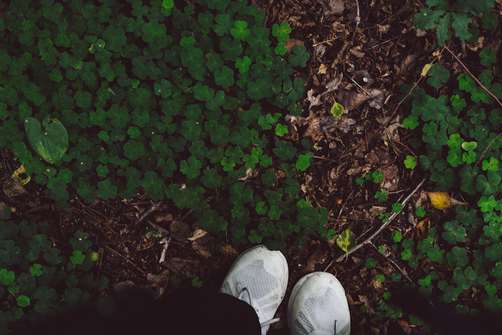 Babes_in_Boyland-workday_location-9