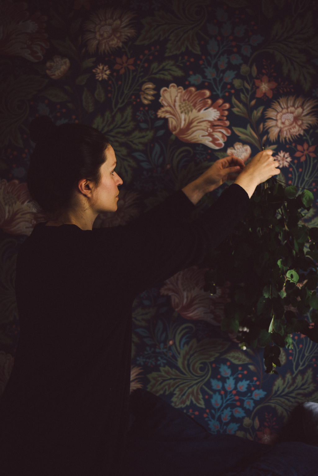 Ava wallpaper by Babes in Boyland