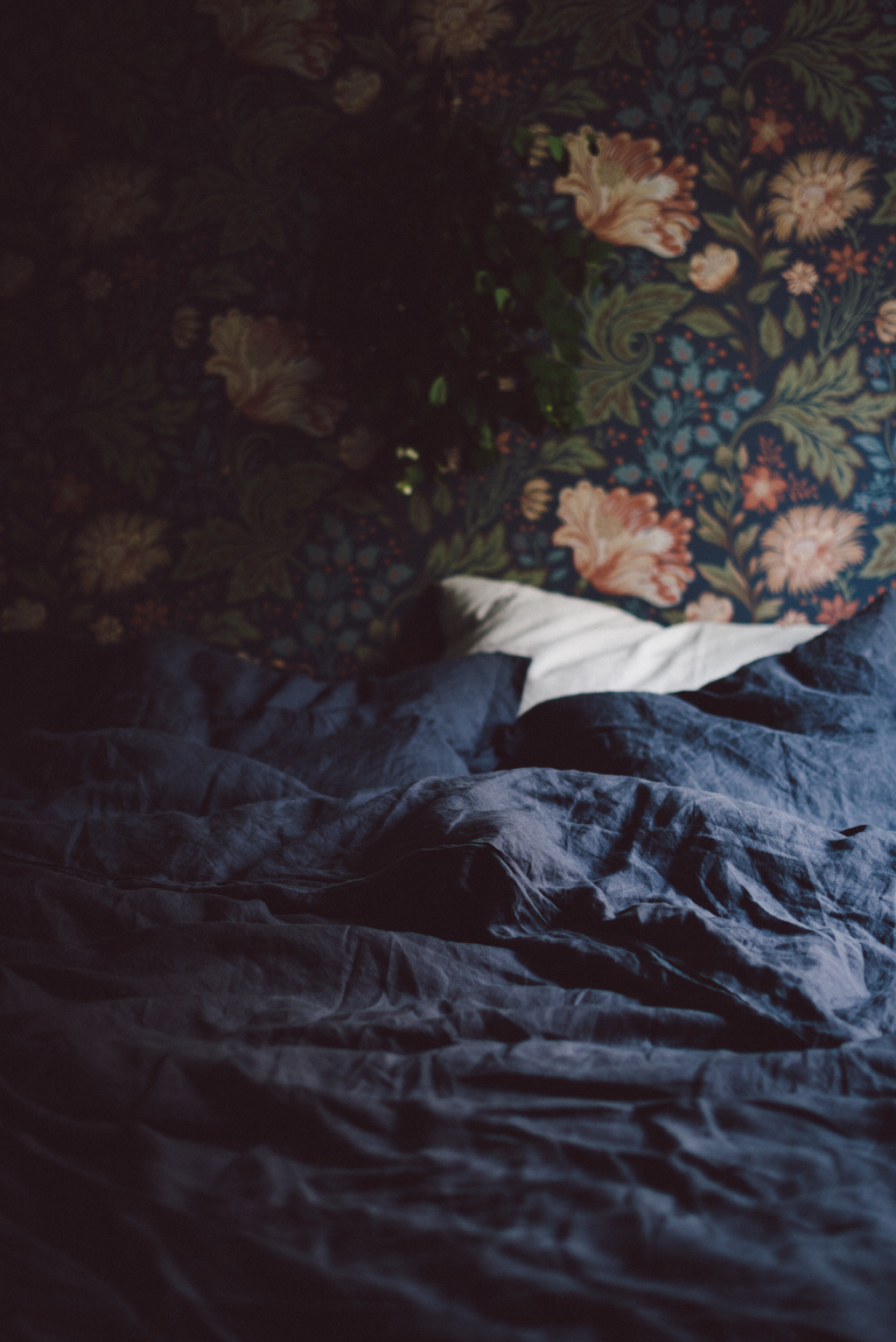 Ava wallpaper by Babes in Boyland