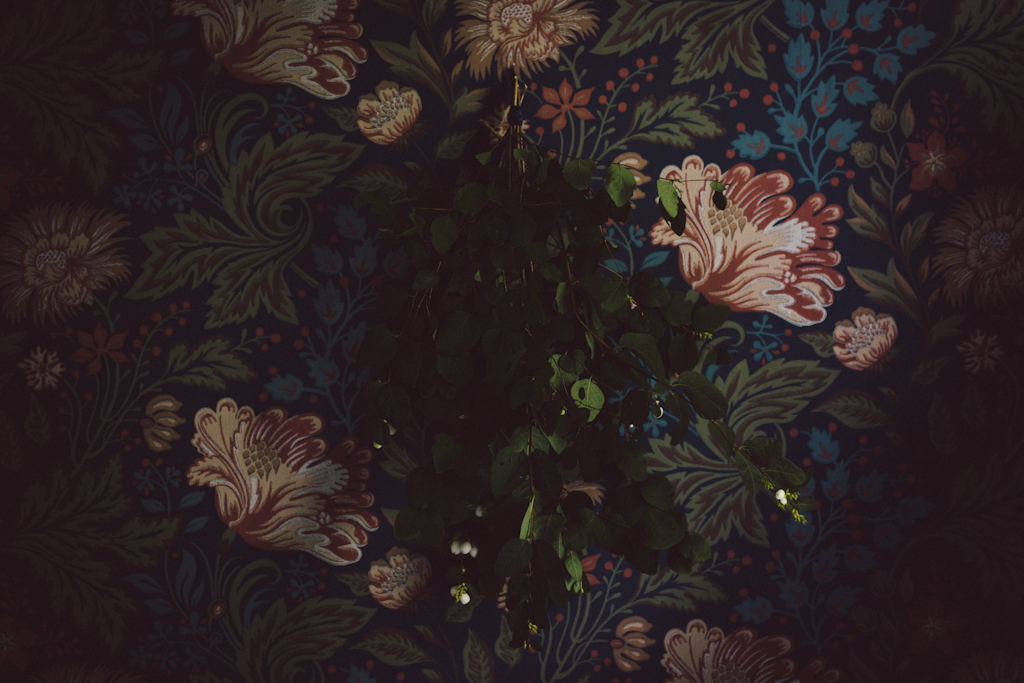 Ava wallpaper by Babes in Boyland