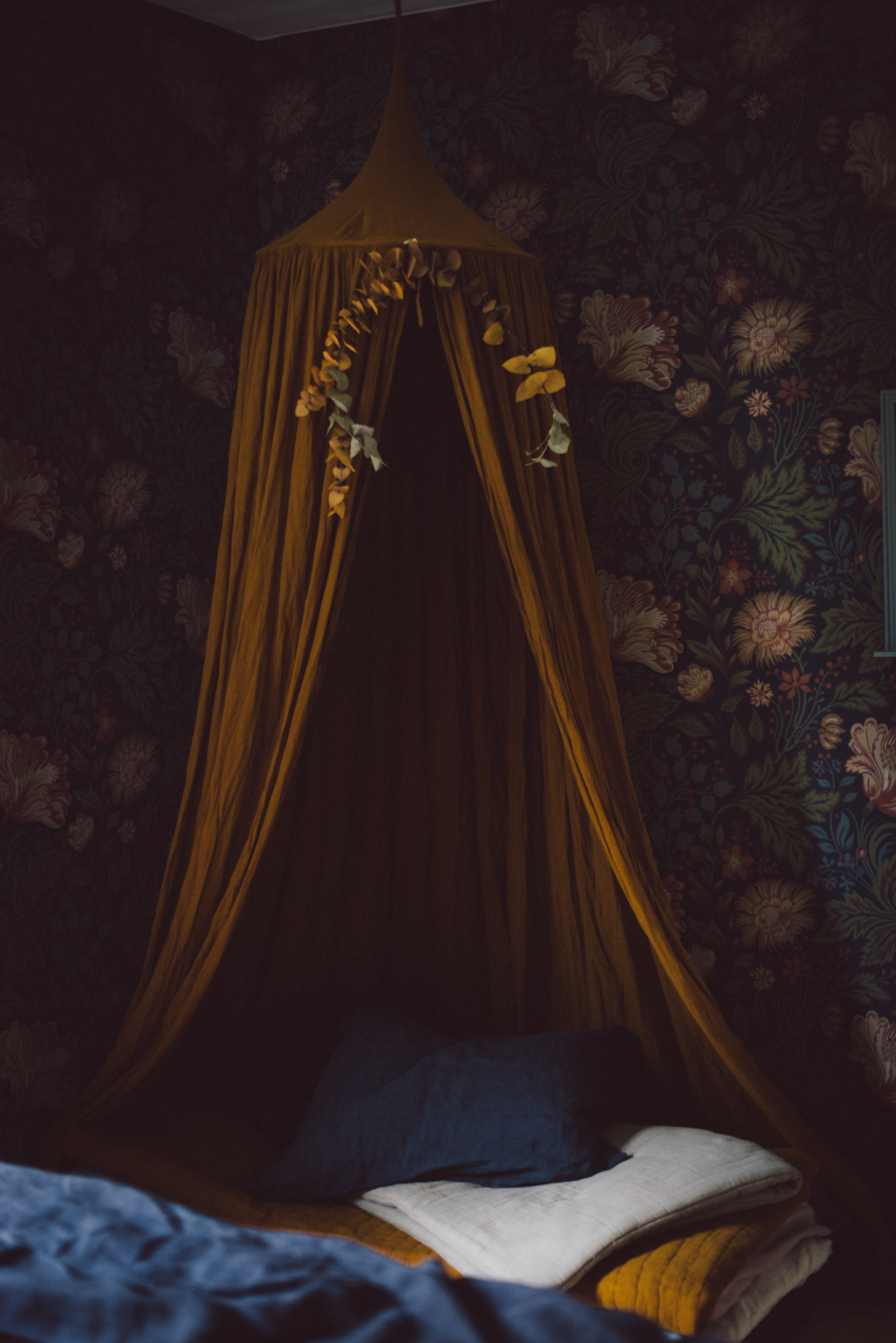 Ava wallpaper by Babes in Boyland