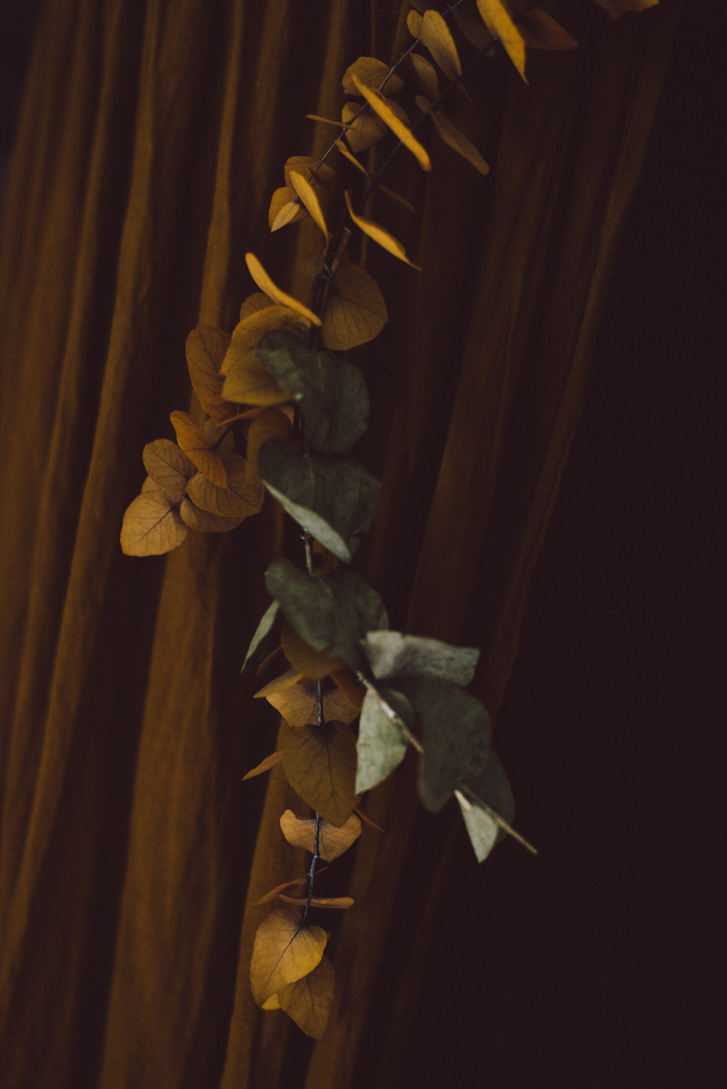 Ava wallpaper by Babes in Boyland