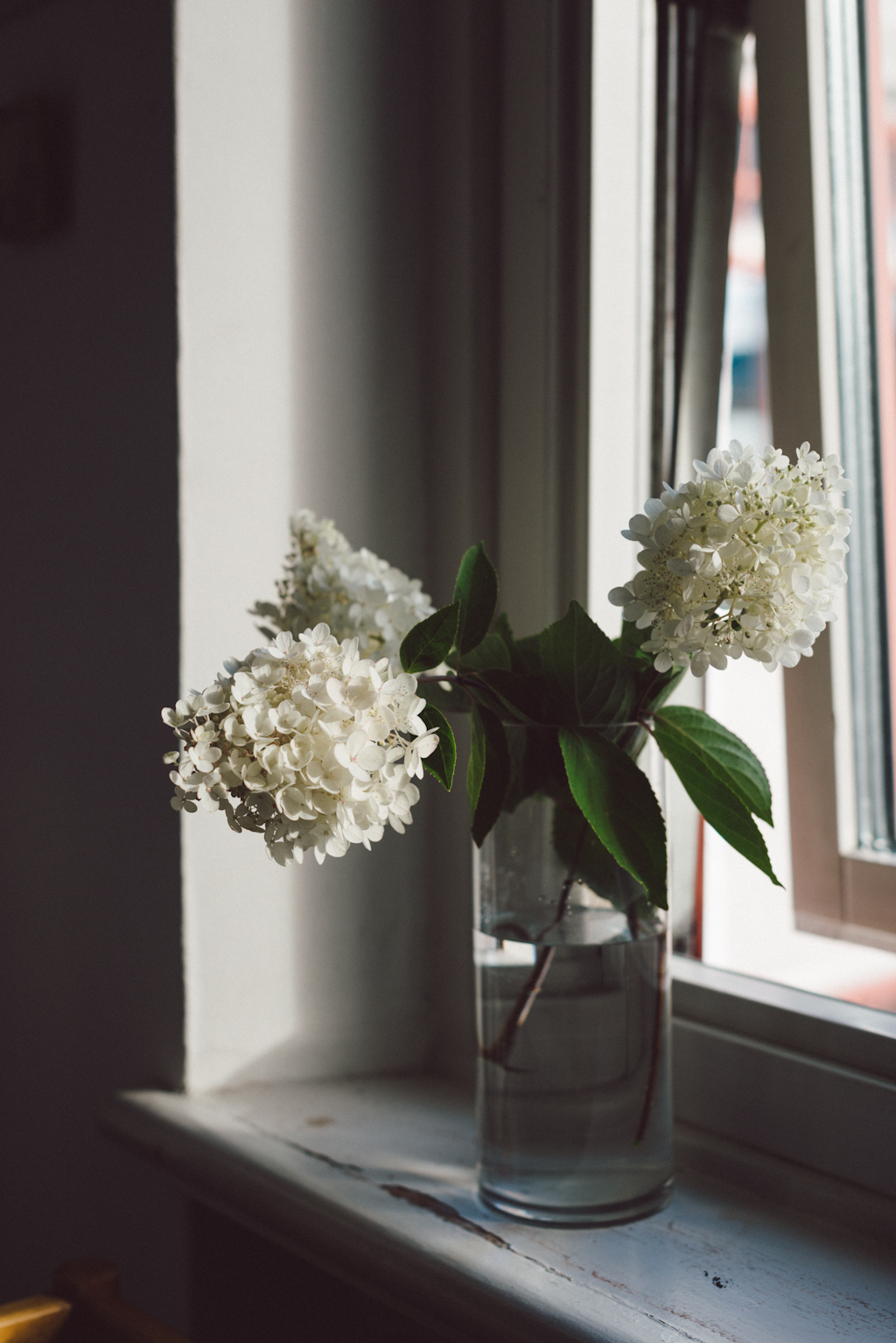 Hortensia by Babes in Boyland