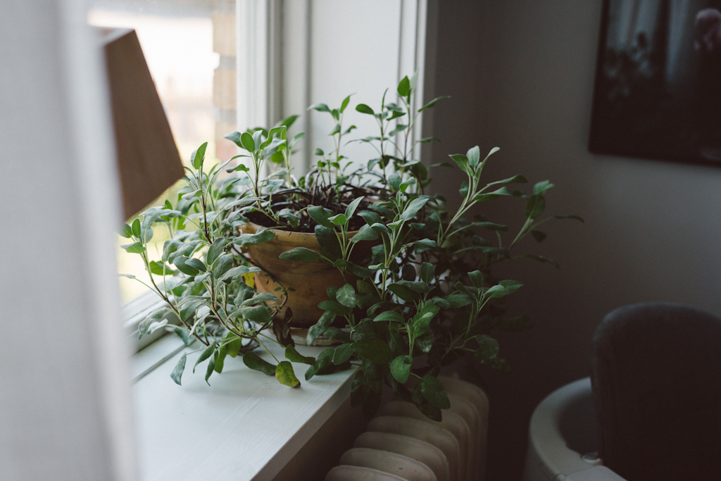 Meeting Pernilla by Babes in Boyland