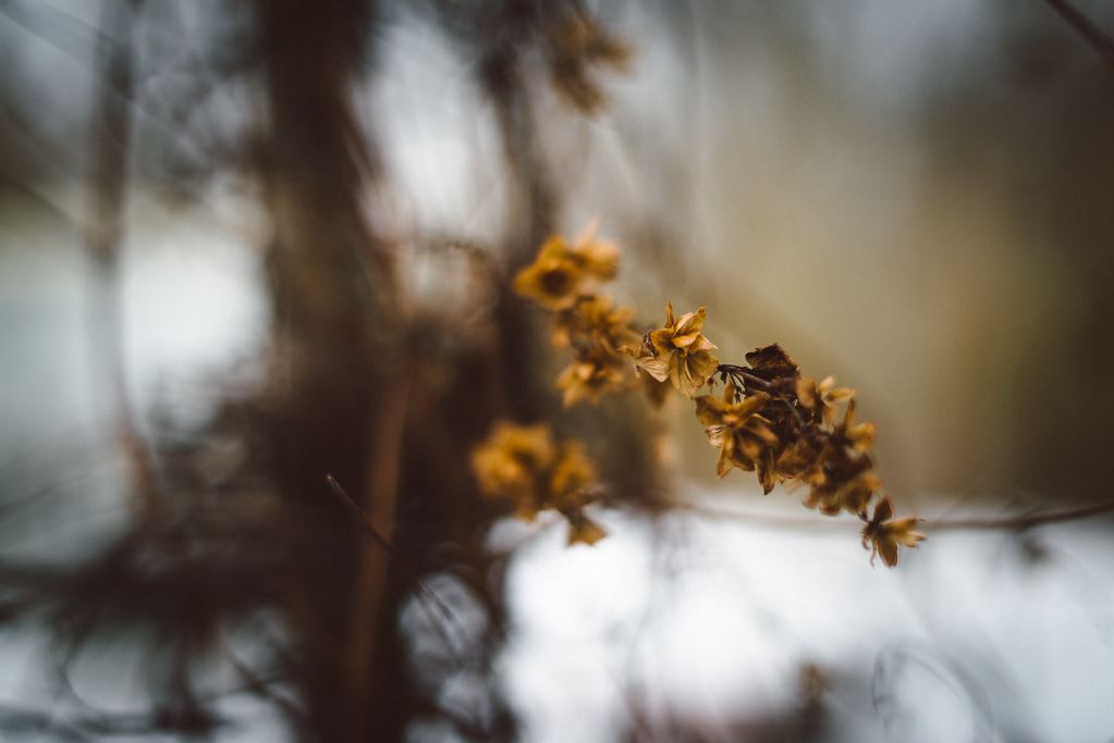 Visby, Leva Kungslador och Berså 21 Babes_in_Boyland_Gotland_Foto_Matilda-Hildingsson_Stylist_Nathalie-Myrberg-27