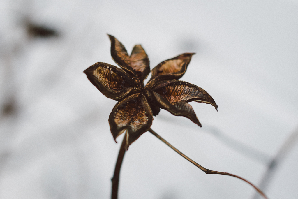 Visby, Leva Kungslador och Berså 31 Babes_in_Boyland_Gotland_Foto_Matilda-Hildingsson_Stylist_Nathalie-Myrberg-38