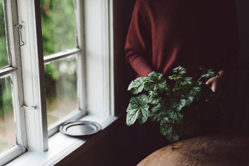 Slow living by Babes in Boyland