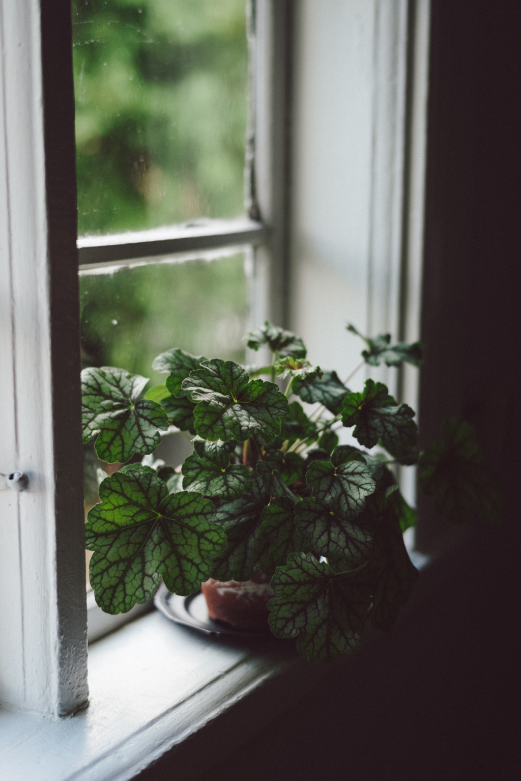 Slow living by Babes in Boyland