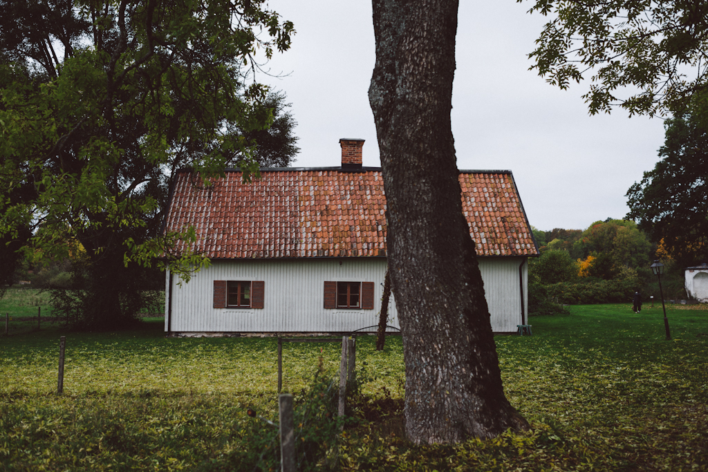 Babes_in_Boyland-Gaddeholm-1