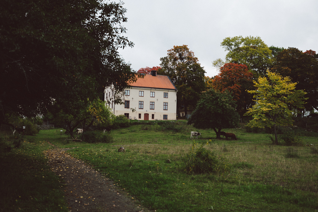 Babes_in_Boyland-Gaddeholm-11