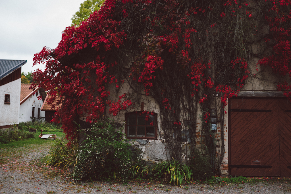 Babes_in_Boyland-Gaddeholm-13