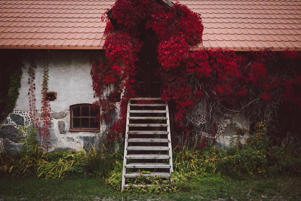 Babes_in_Boyland-Gaddeholm-16
