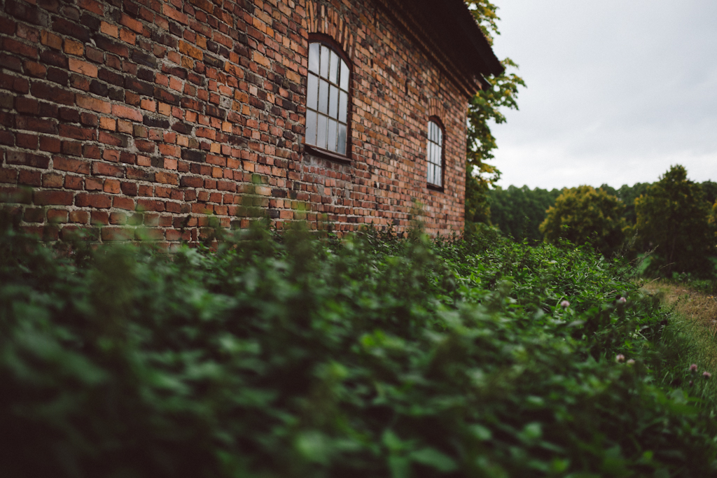 Babes_in_Boyland-Gaddeholm-19