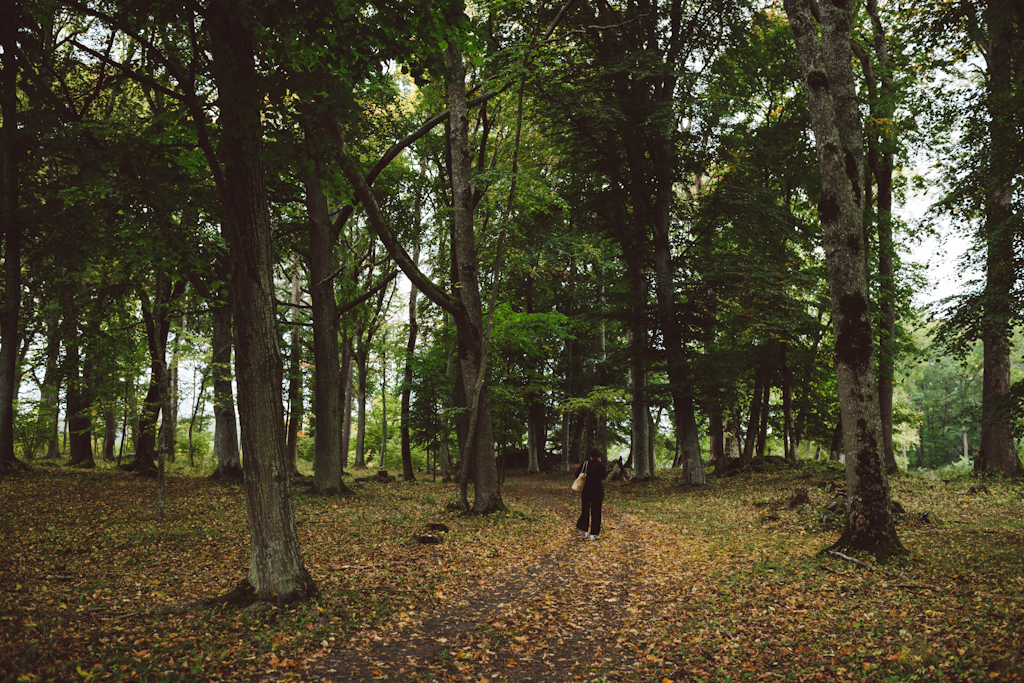 Babes_in_Boyland-Gaddeholm-7