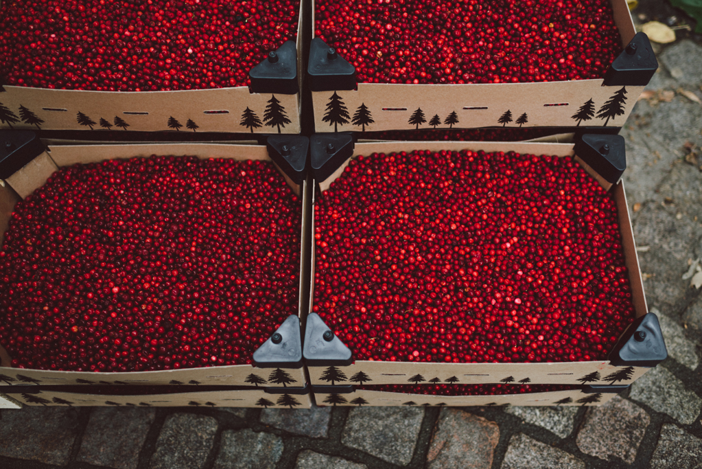 Farmer's market by Babes in Boyland