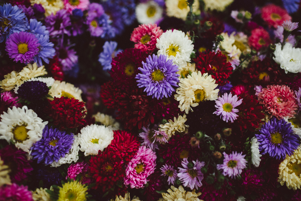 Farmer's market by Babes in Boyland