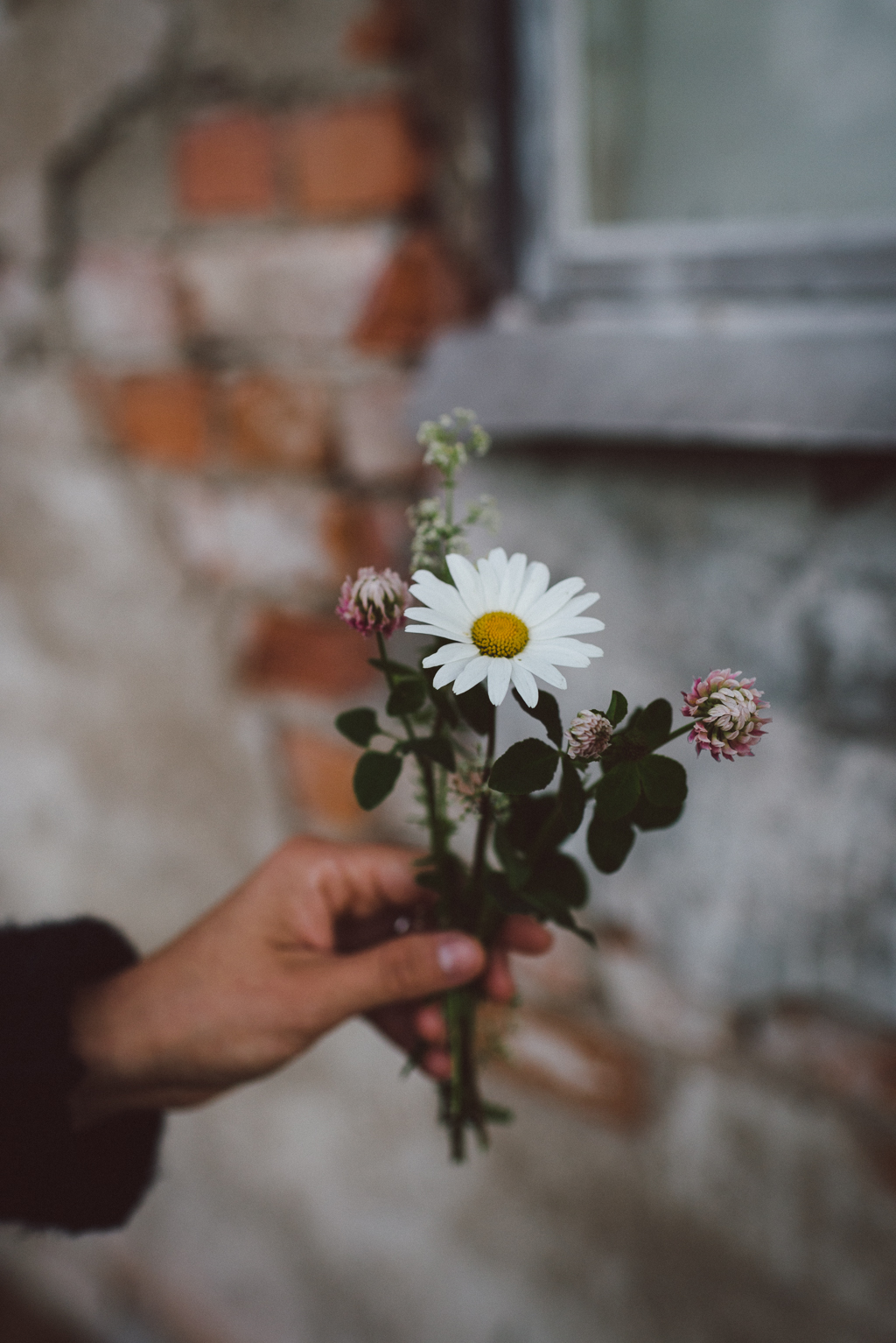 Daydreaming by Babes in Boyland