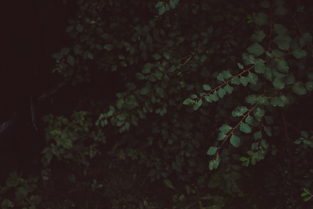 Johan Barrett by Babes in Boyland