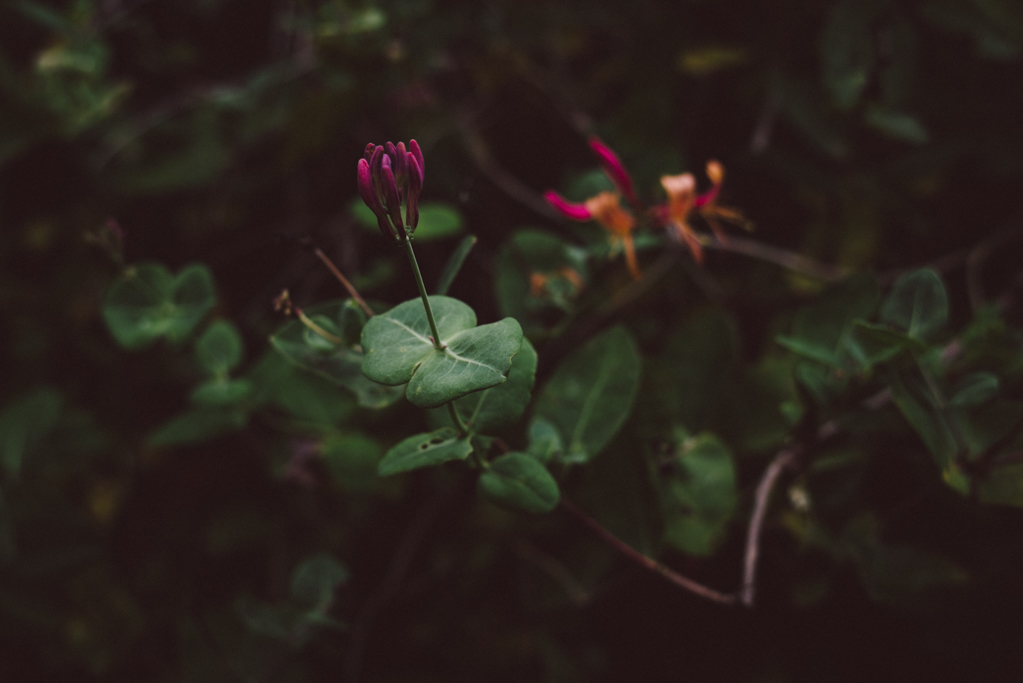 Johan Barrett by Babes in Boyland